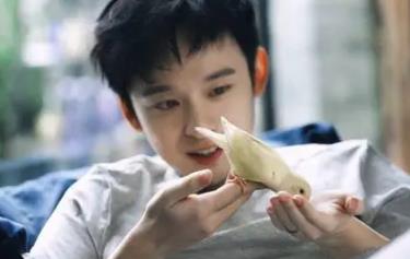 董子健个人资料,董子健和孙怡怎么认识的 董子健个人资料,董子健和孙怡怎么认识的