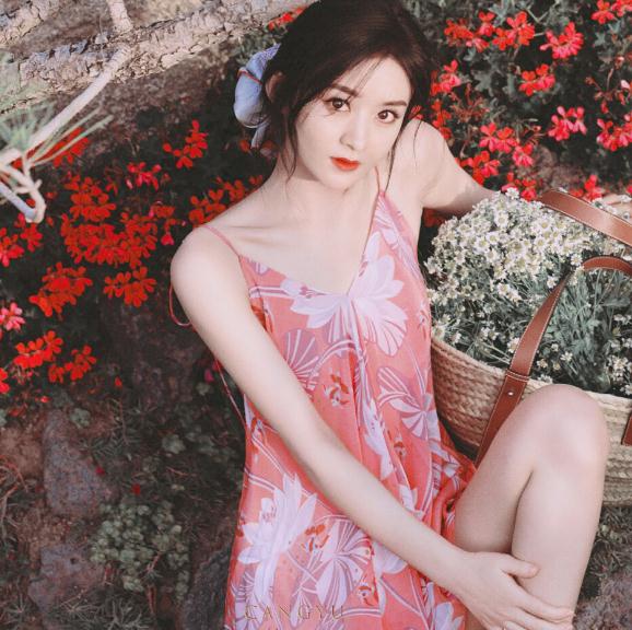 哪些明星追过赵丽颖(赵丽颖怎么当上明星的) 哪些明星追过赵丽颖(赵丽颖怎么当上明星的)